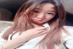 恐龙卡车动画片中文版第一季全集